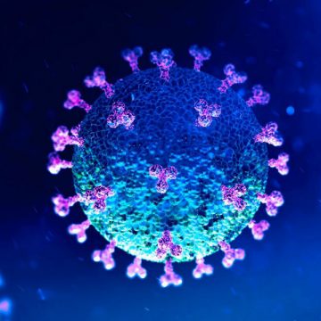 Coronavírus: Almeirim passa a ter 20 casos em vigilância