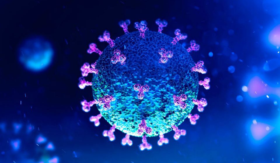 Concelho de Almeirim apresenta 3,88% da população com anticorpos