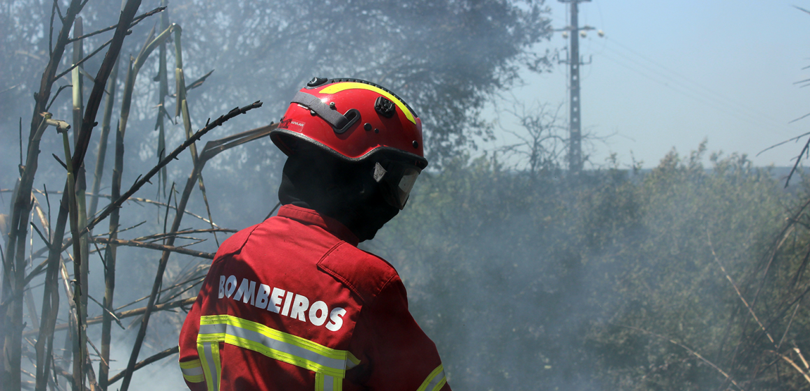 Governo decreta um dia de luto nacional pelas vítimas dos incêndios