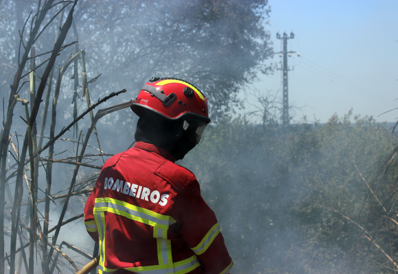 Governo decreta um dia de luto nacional pelas vítimas dos incêndios