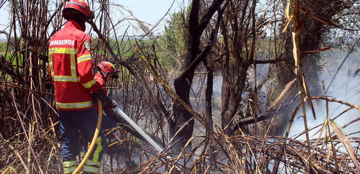 País em situação de alerta devido ao agravamento do perigo de incêndios rurais