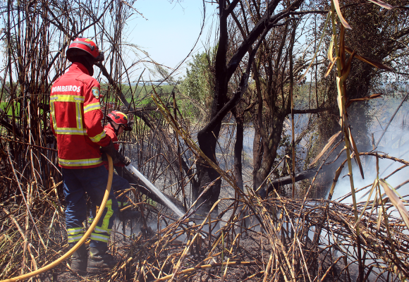 País em situação de alerta devido ao agravamento do perigo de incêndios rurais