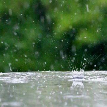 Chuva esperada para o primeiro dia de 2023 em Almeirim
