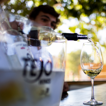 Portugal é o país do mundo que consome mais vinho ‘per capita’