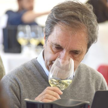 Concurso Vinhos do Tejo reuniu 220 amostras em prova. Vencedores anunciados no dia 3 de junho