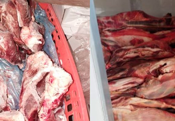 ASAE apreende mais de quatro toneladas de carne imprópria para consumo