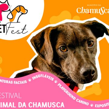 1º Festival Animal na Chamusca