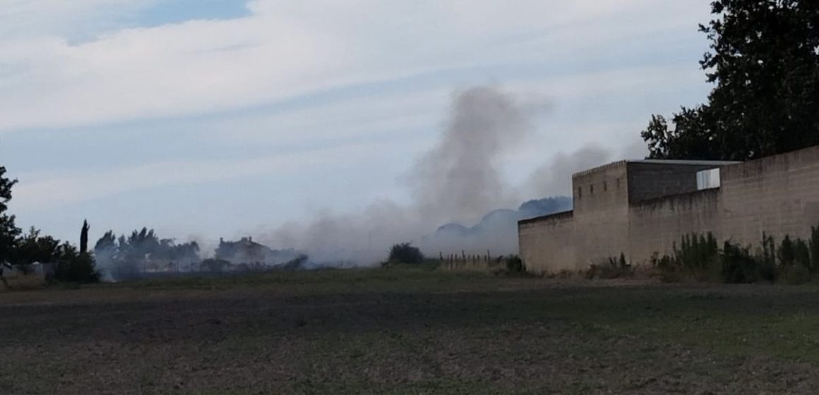 Incêndio deflagra num terreno agrícola em Fazendas de Almeirim