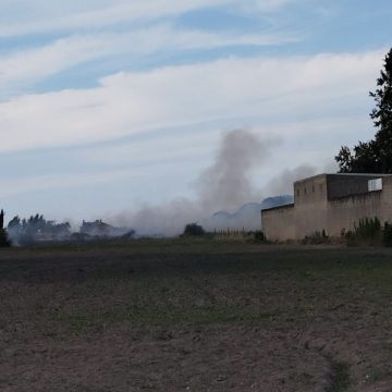Incêndio deflagra num terreno agrícola em Fazendas de Almeirim