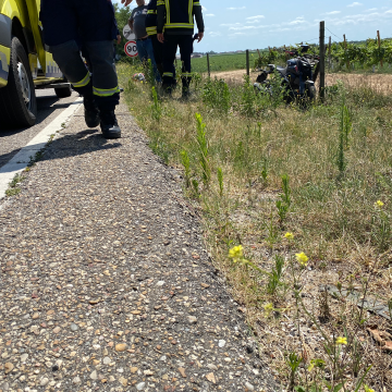Colisão entre moto e pesado de mercadorias provoca dois feridos na EN118