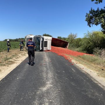 Camião de transporte de tomate tomba e corta estrada do campo