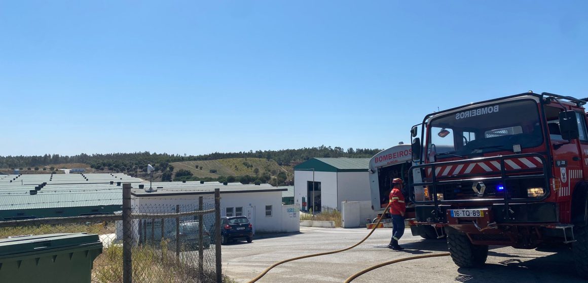 Incêndio em aviário mobiliza perto de 50 operacionais em Paço dos Negros