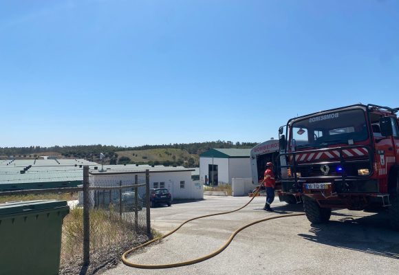 Incêndio em aviário mobiliza perto de 50 operacionais em Paço dos Negros