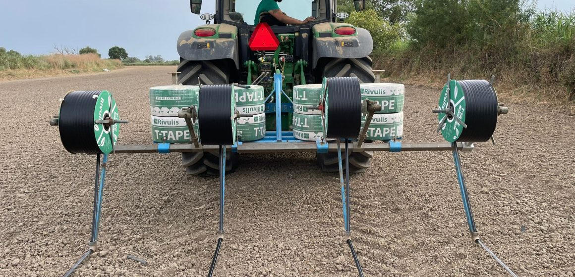 Consórcio do ensaio de rega gota-a-gota na cultura do arroz organiza dia de campo