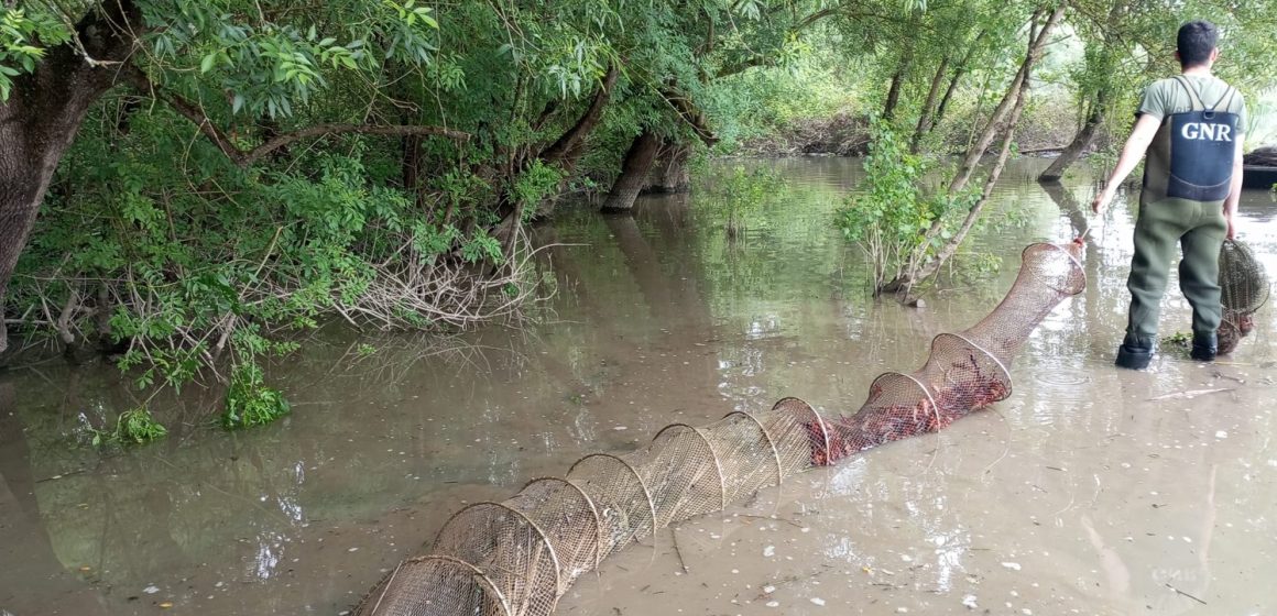 GNR apreende 90 nassas de pesca em área de proteção